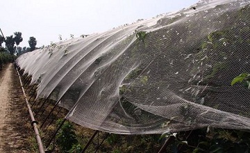 anti hail net